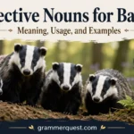 Collective Nouns for Badgers: Meaning, Usage, and Examples