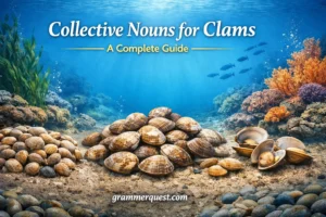 Collective Nouns for Clams: A Complete Guide