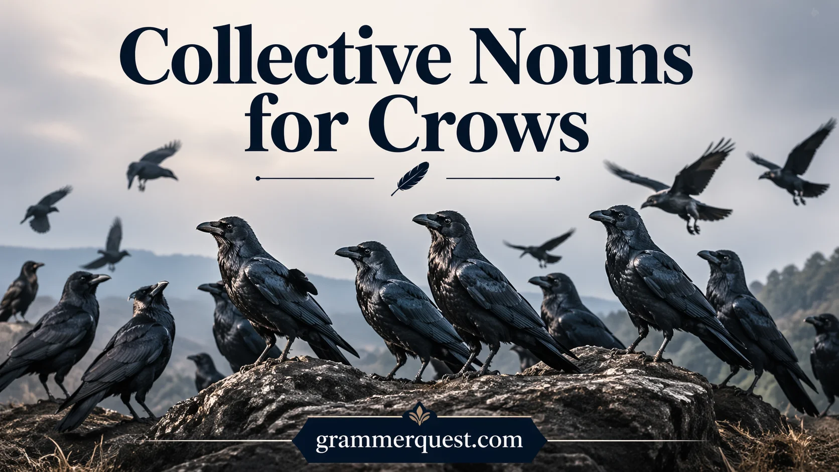 Collective Nouns for Crows