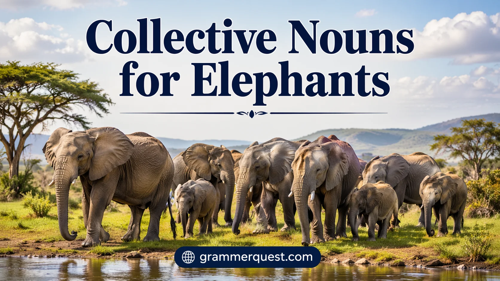 Collective Nouns for Elephants