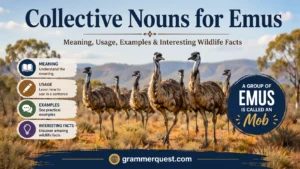 Collective Nouns for Emus: Meaning, Usage, Examples & Interesting Wildlife Facts