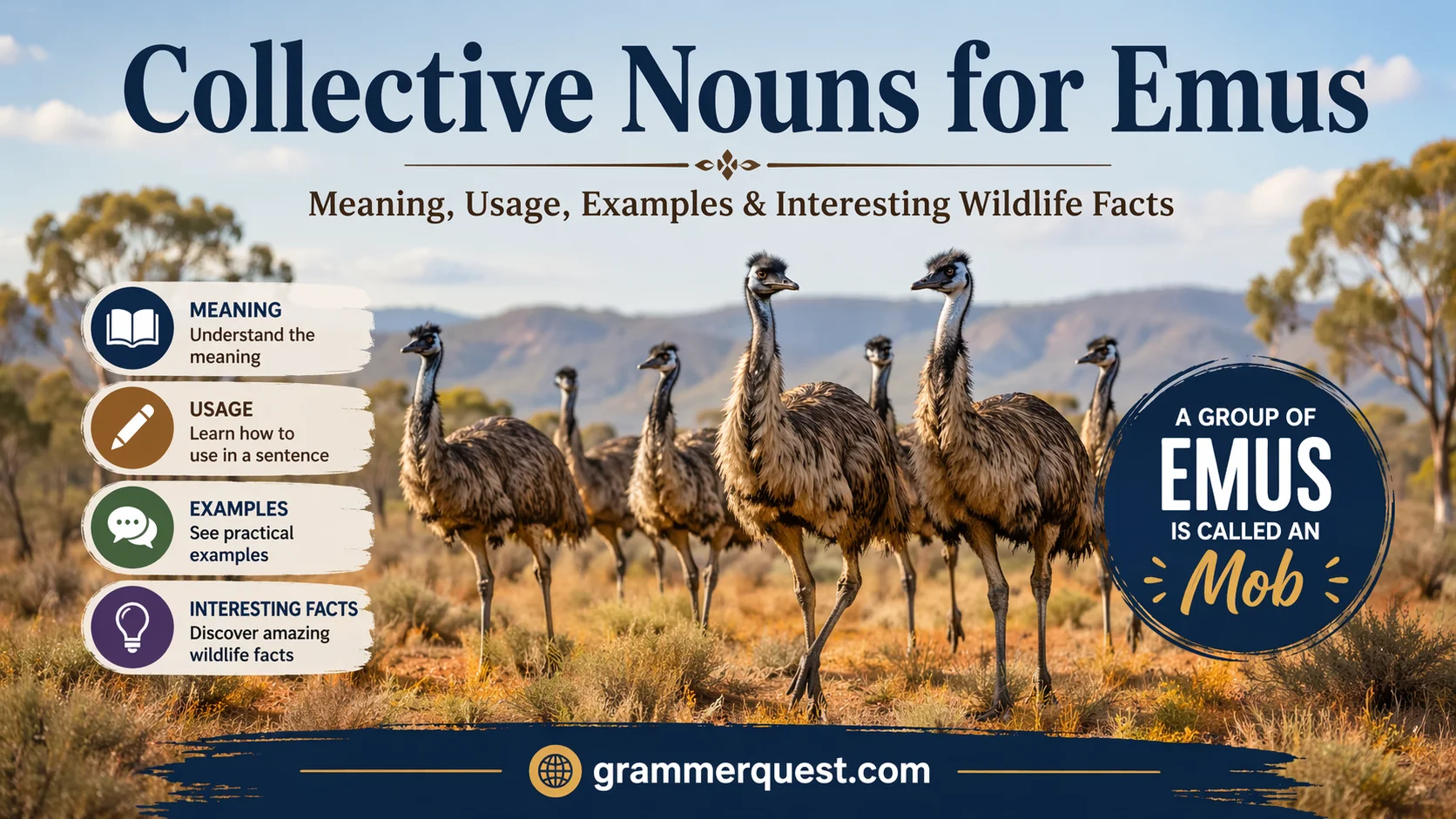 Collective Nouns for Emus: Meaning, Usage, Examples & Interesting Wildlife Facts
