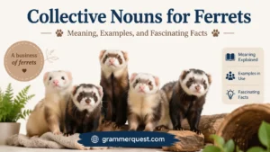 Collective Nouns for Ferrets: Meaning, Examples, and Fascinating Facts