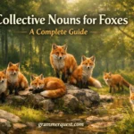 Collective Nouns for Foxes: A Complete Guide