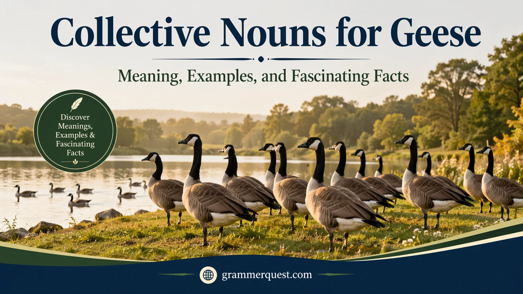 Collective Nouns for Geese: Meaning, Examples, and Fascinating Facts