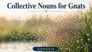 Collective Nouns for Gnats
