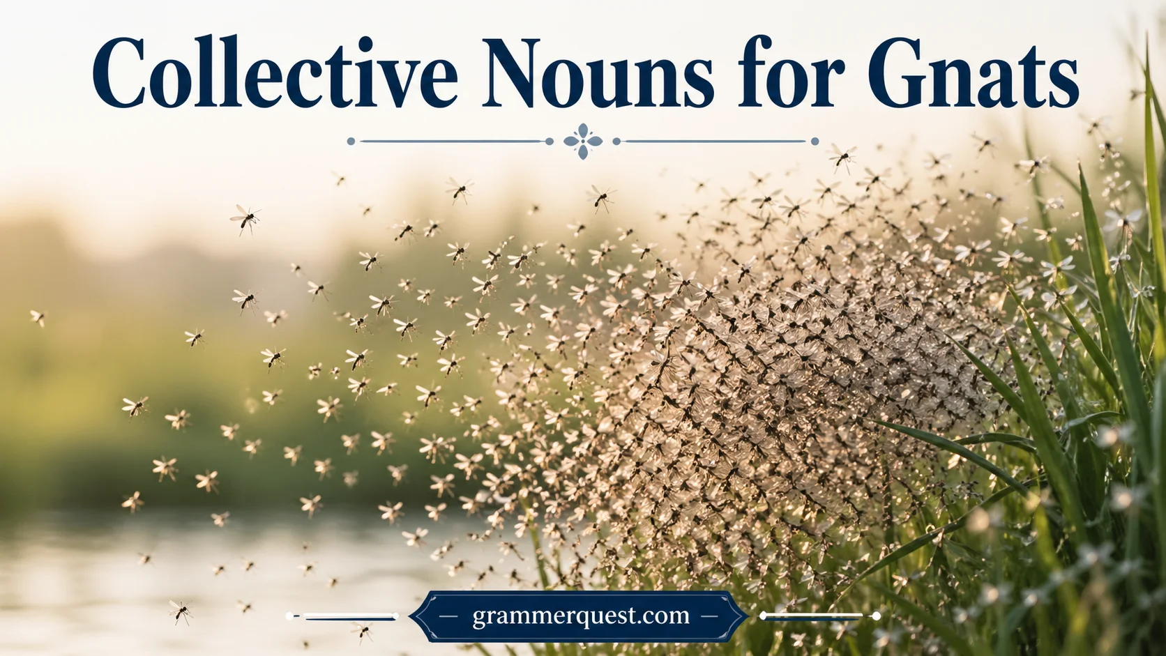 Collective Nouns for Gnats