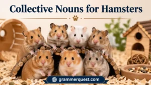 Collective Nouns for Hamsters