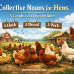 Collective Nouns for Hens: A Complete and Engaging Guide