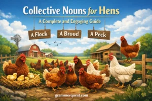 Collective Nouns for Hens: A Complete and Engaging Guide
