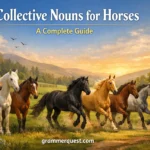 Collective Nouns for Horses: A Complete Guide