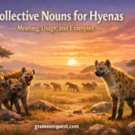 Collective Nouns for Hyenas: Meaning, Usage, and Examples