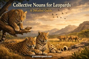 Collective Nouns for Leopards: A Detailed Guide