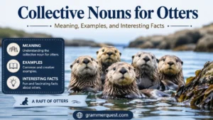 Collective Nouns for Otters: Meaning, Examples, and Interesting Facts