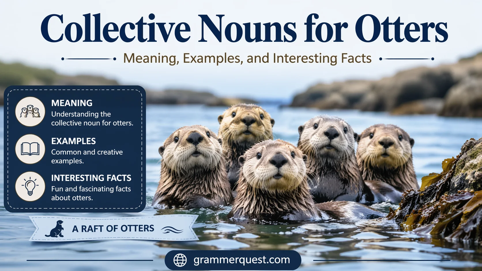 Collective Nouns for Otters: Meaning, Examples, and Interesting Facts