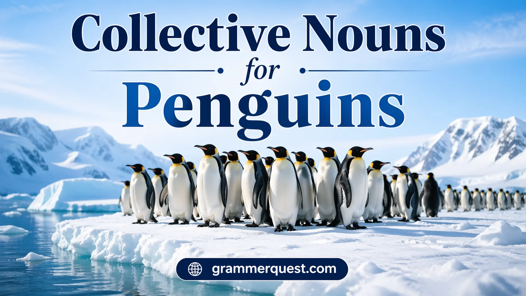 Collective Nouns for Penguins