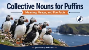 Collective Nouns for Puffins: Meaning, Usage, and Fun Facts