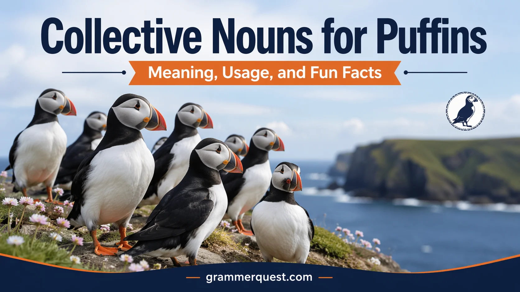 Collective Nouns for Puffins: Meaning, Usage, and Fun Facts