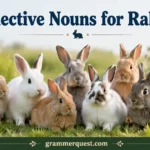 Collective Nouns for Rabbits