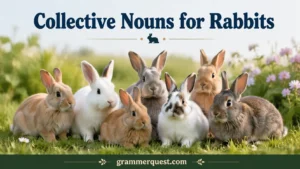 Collective Nouns for Rabbits