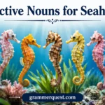 Collective Nouns for Seahorses