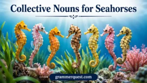 Collective Nouns for Seahorses