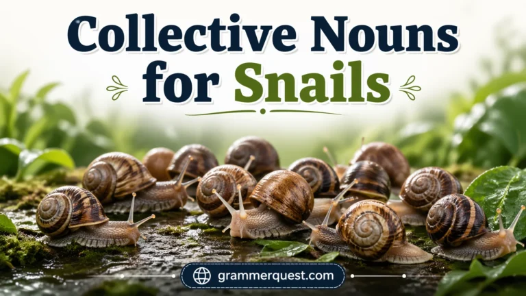 Collective Nouns for Snails