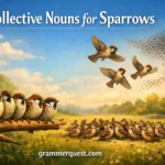 Collective Nouns for Sparrows: A Complete Guide