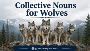 Collective Nouns for Wolves