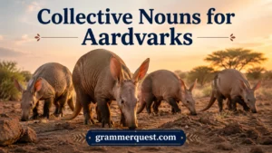 Collective Nouns for Aardvarks