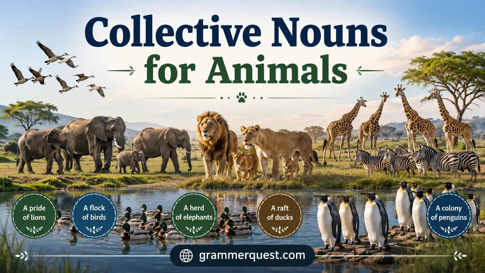Collective Nouns for Animals