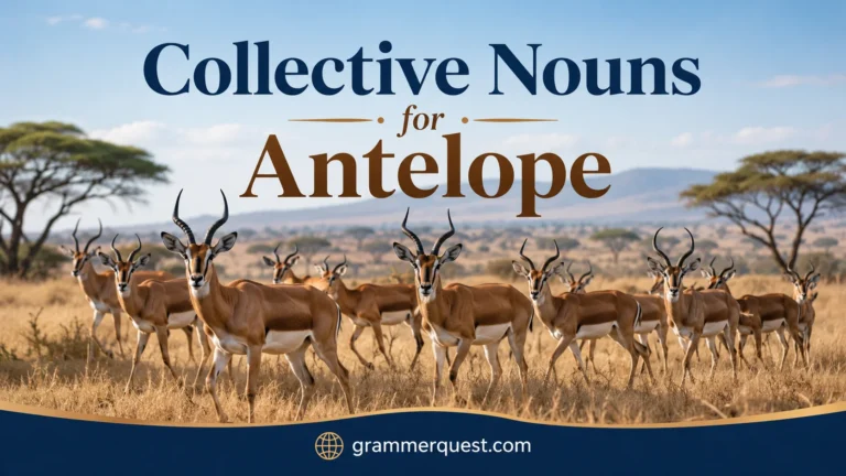Collective Nouns for Antelope