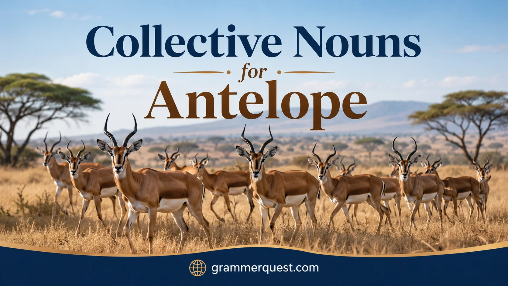 Collective Nouns for Antelope