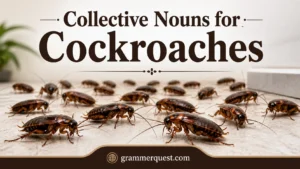 Collective Nouns for Cockroaches