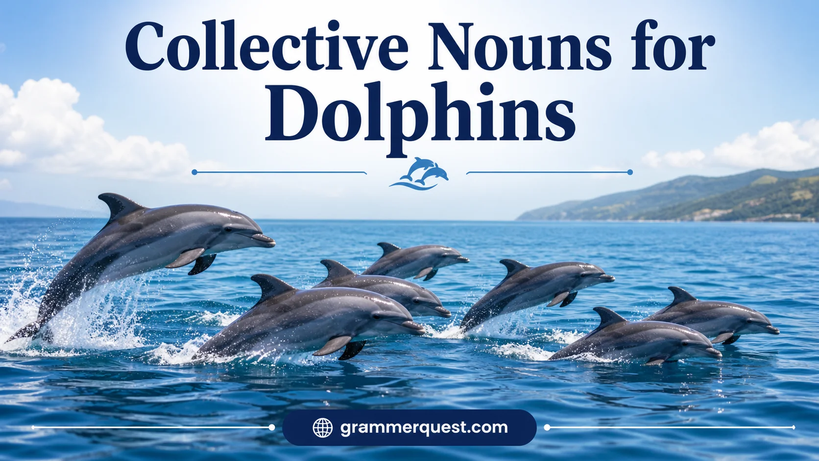 Collective Nouns for Dolphins