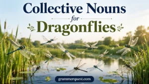 Collective Nouns for Dragonflies