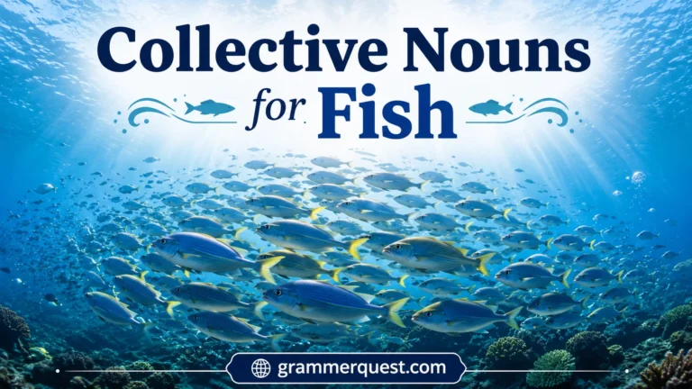 Collective Nouns for Fish