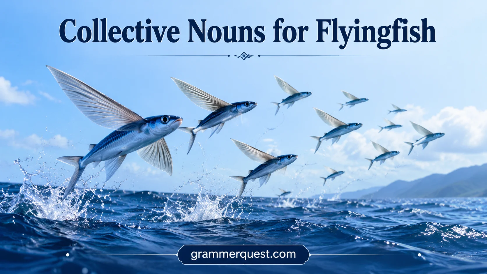 Collective Nouns for Flyingfish