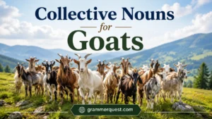 Collective Nouns for Goats