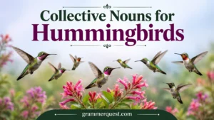 Collective Nouns for Hummingbirds