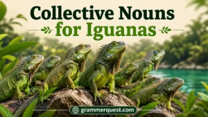 Collective Nouns for Iguanas