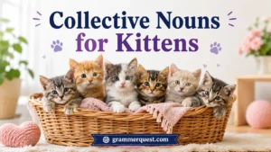 Collective Nouns for Kittens