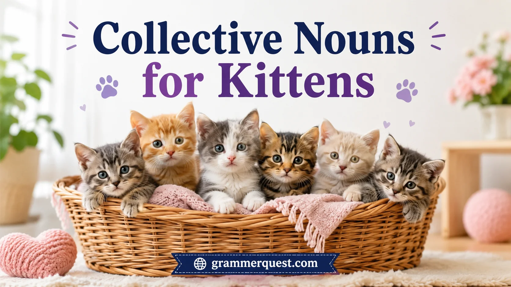 Collective Nouns for Kittens