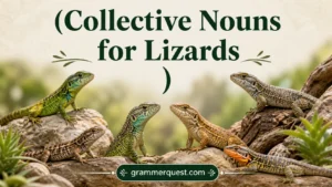 Collective Nouns for Lizards
