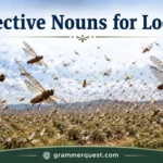 Collective Nouns for Locusts