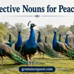 Collective Nouns for Peacocks
