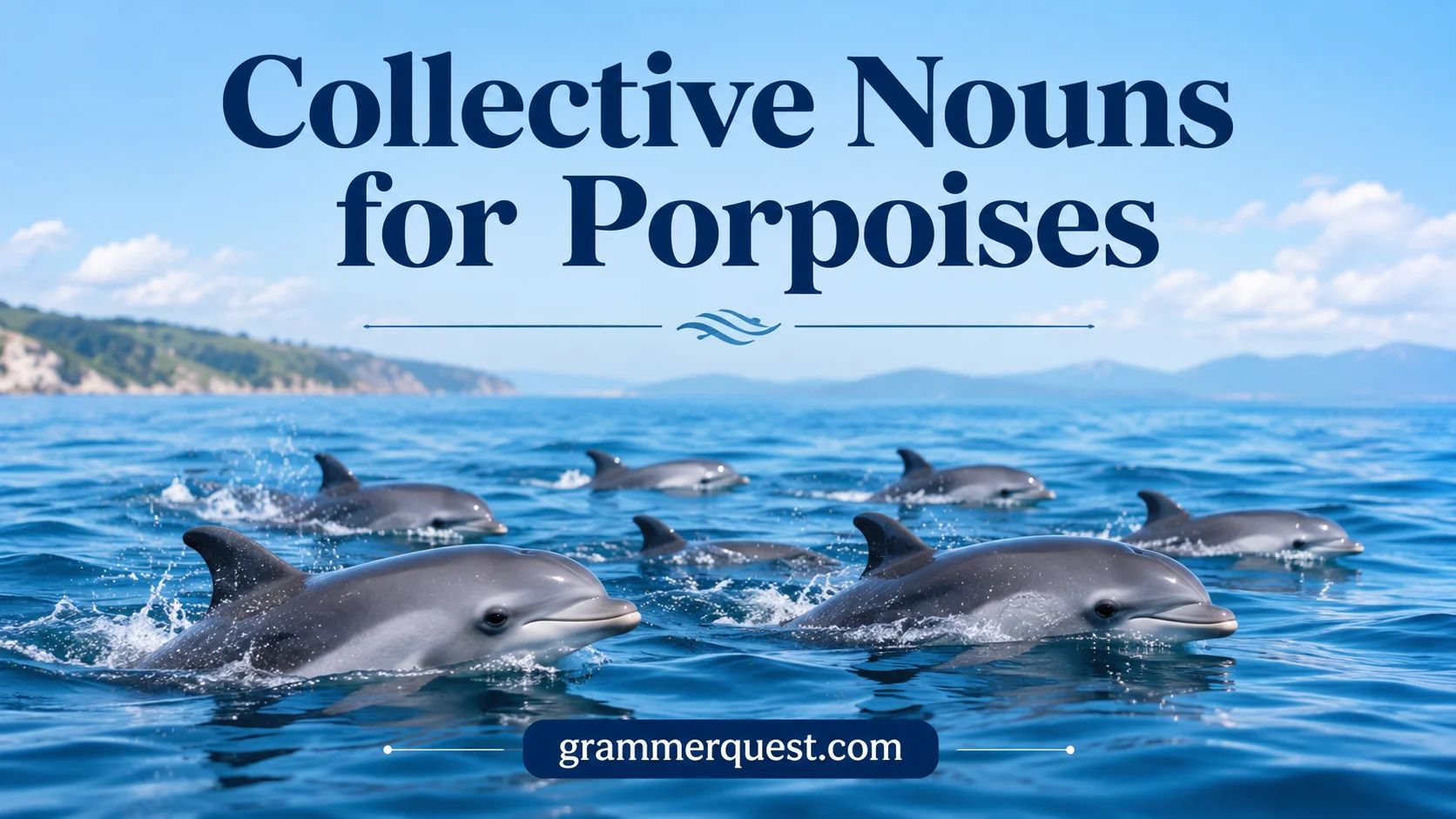 Collective Nouns for Porpoises