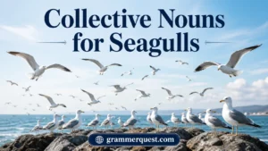 Collective Nouns for Seagulls