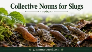 Collective Nouns for Slugs