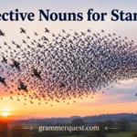 Collective Nouns for Starlings
